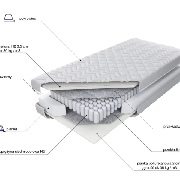 Panam Talalay H2